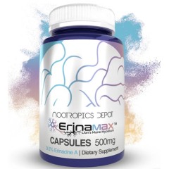 Nootropics Depot, Erinamax, Mycelium Lion's Mane, 500 мг, 120 капсул